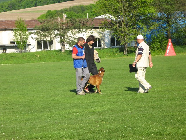www.atibox.net * www.euroboxer.eu * www.boxergenealogia.eu